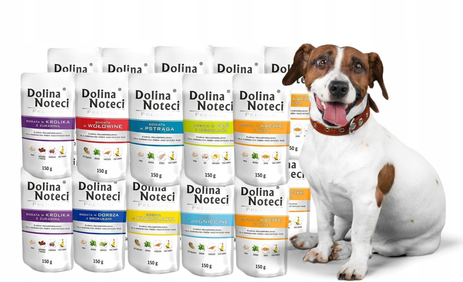 Dolina Noteci Premium Vlhké krmivo pro psy MIX 8 příchutí 20x150g