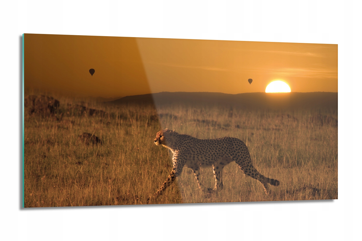 kuchynský panel lacobel Gepard západ polena 100x50