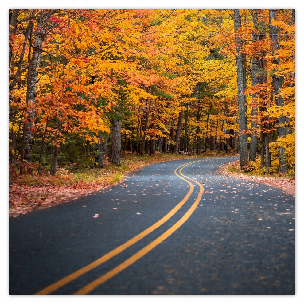 

Fototapety flizelina 312x312 Kręta droga