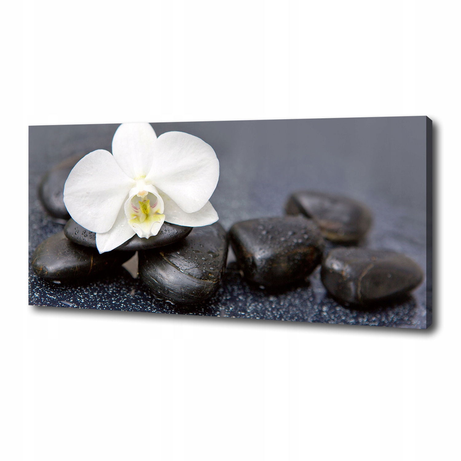 

Foto obraz canvas na ścianę Orchidea 125x50 cm