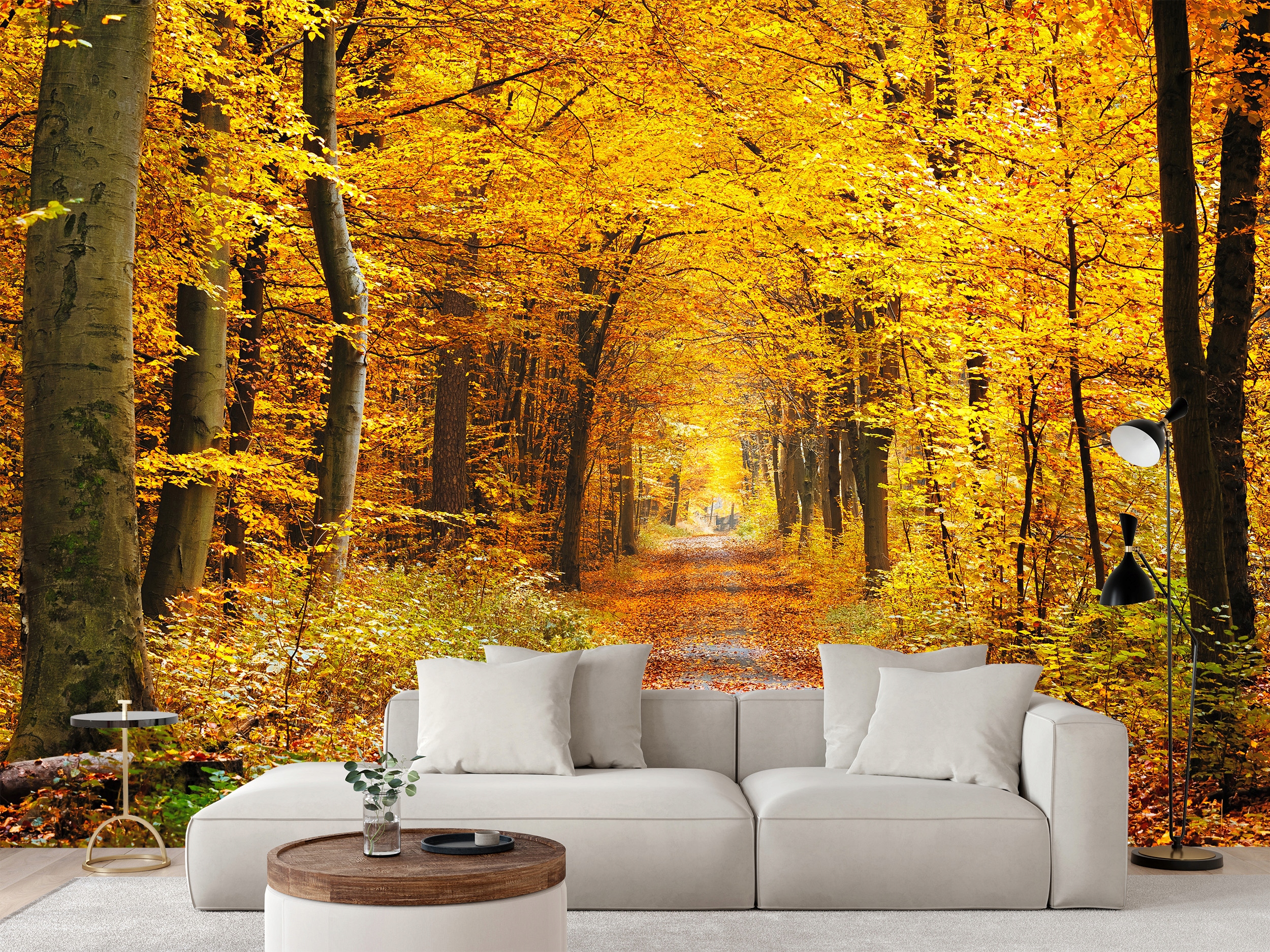 Fototapeta Cesta V Podzimním Lese 520 x 318 cm