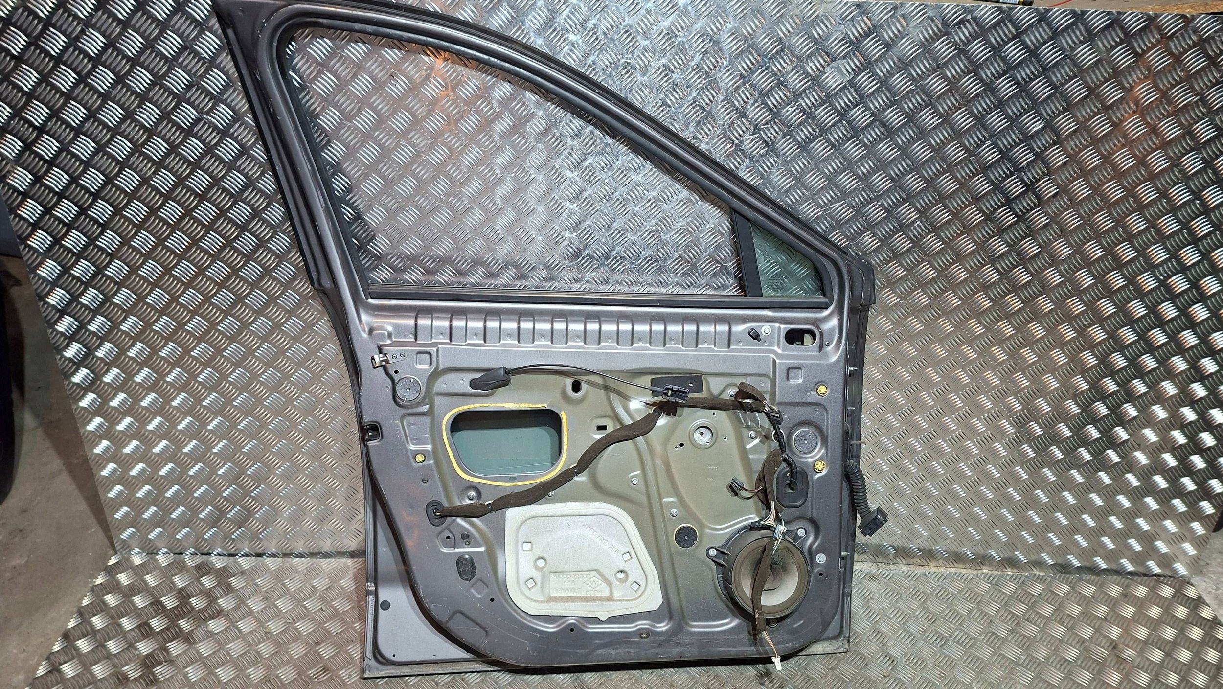 door left front RENAULT SCENIC III 2009