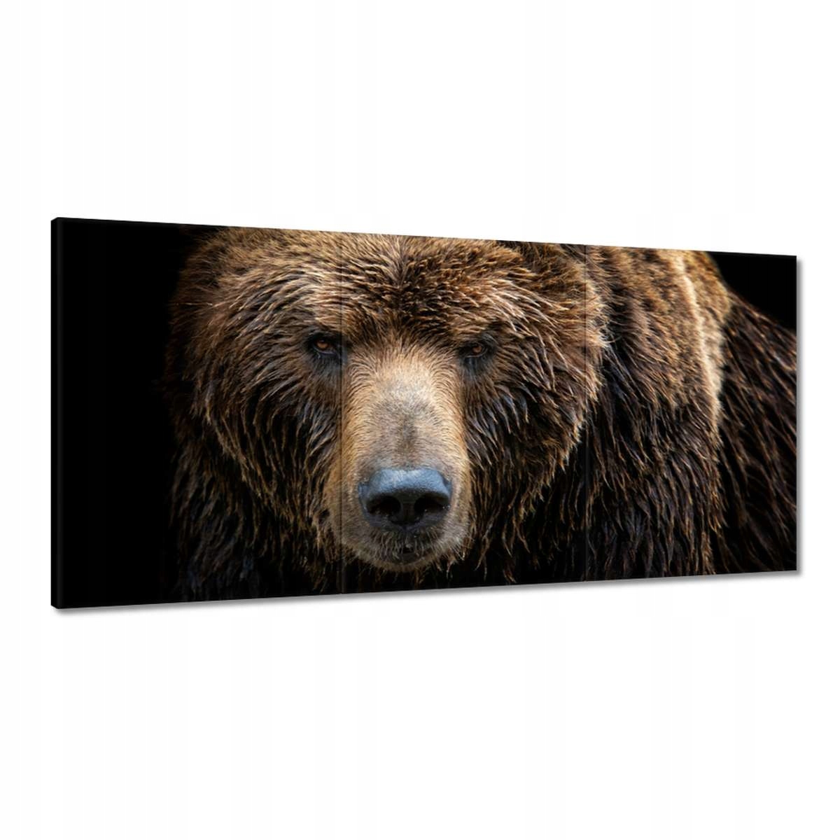 Obrazy 180x90 Portrét medveďa