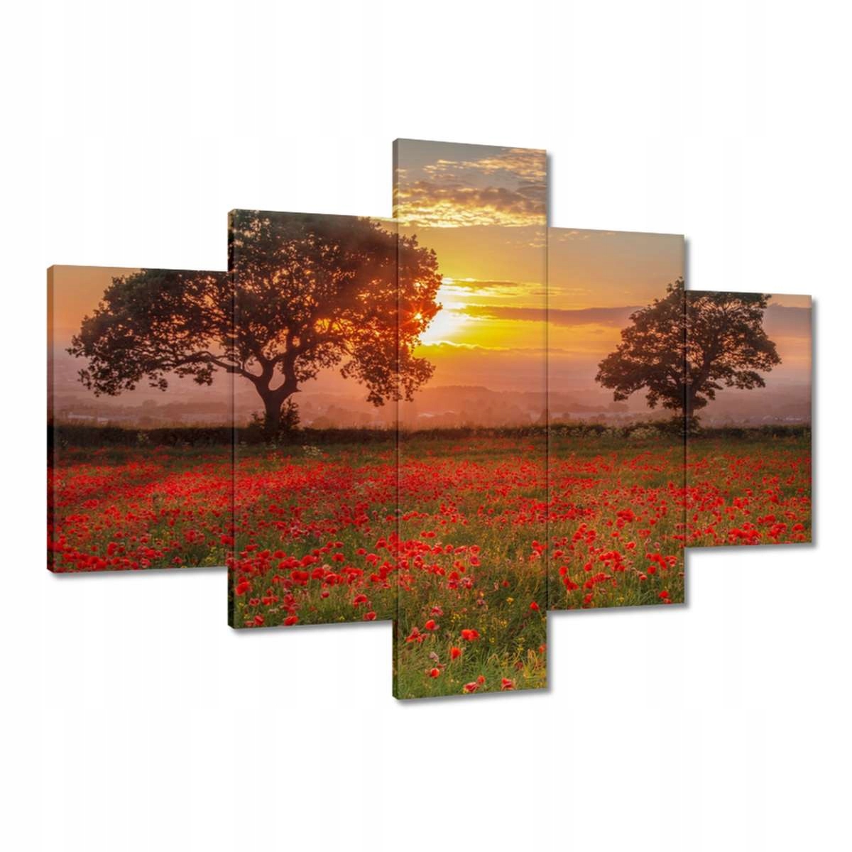 Obrazy 100x70 Maki na poli Krajina