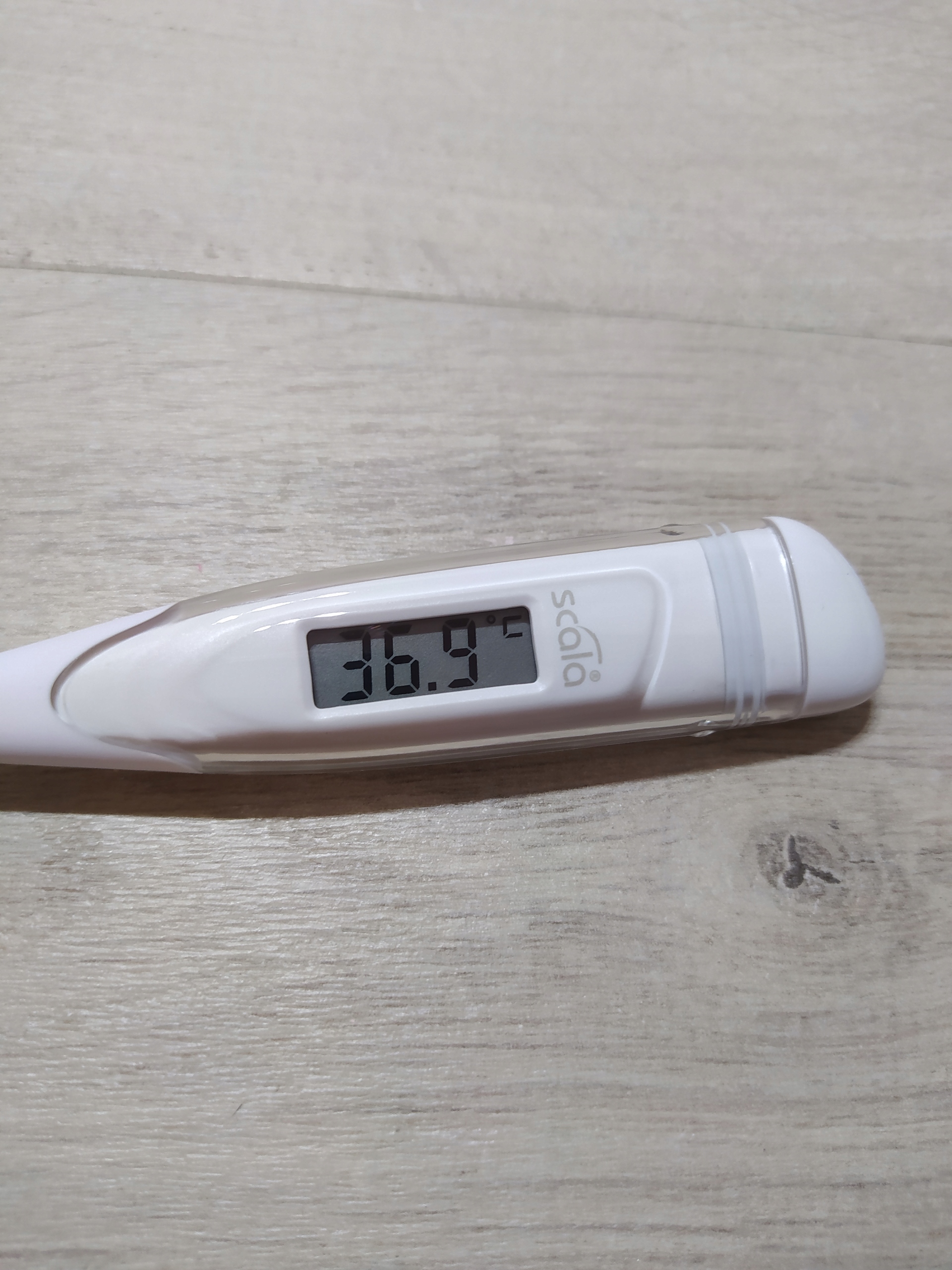 scala SC 28 flex Termometr elektroniczny OUTLET Stan opakowania otwarte