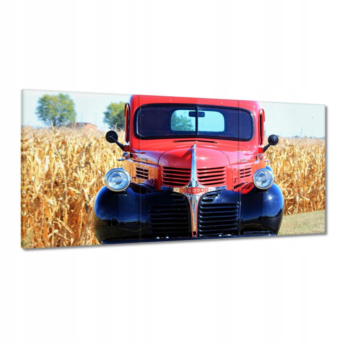 Obrazy 120x60 Ford auto