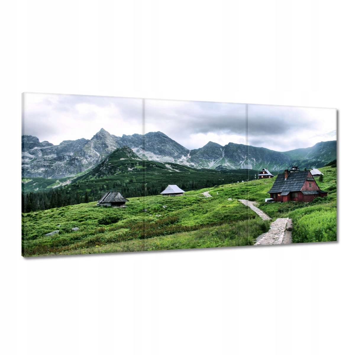 Obrazy 180x90 Tatry Hala Gąsienicowa