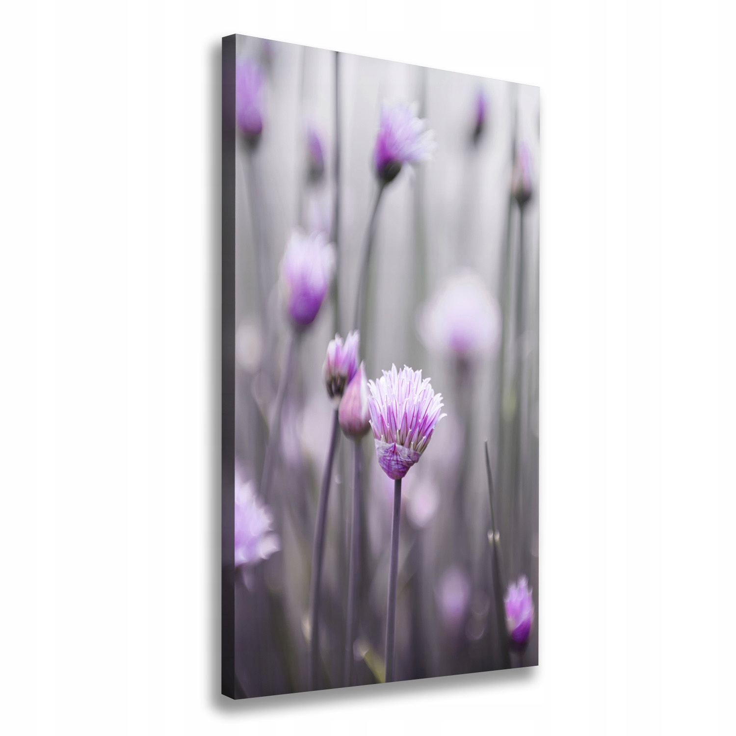 Fotoobraz obraz na plátně Květy pažitky 60x120 cm