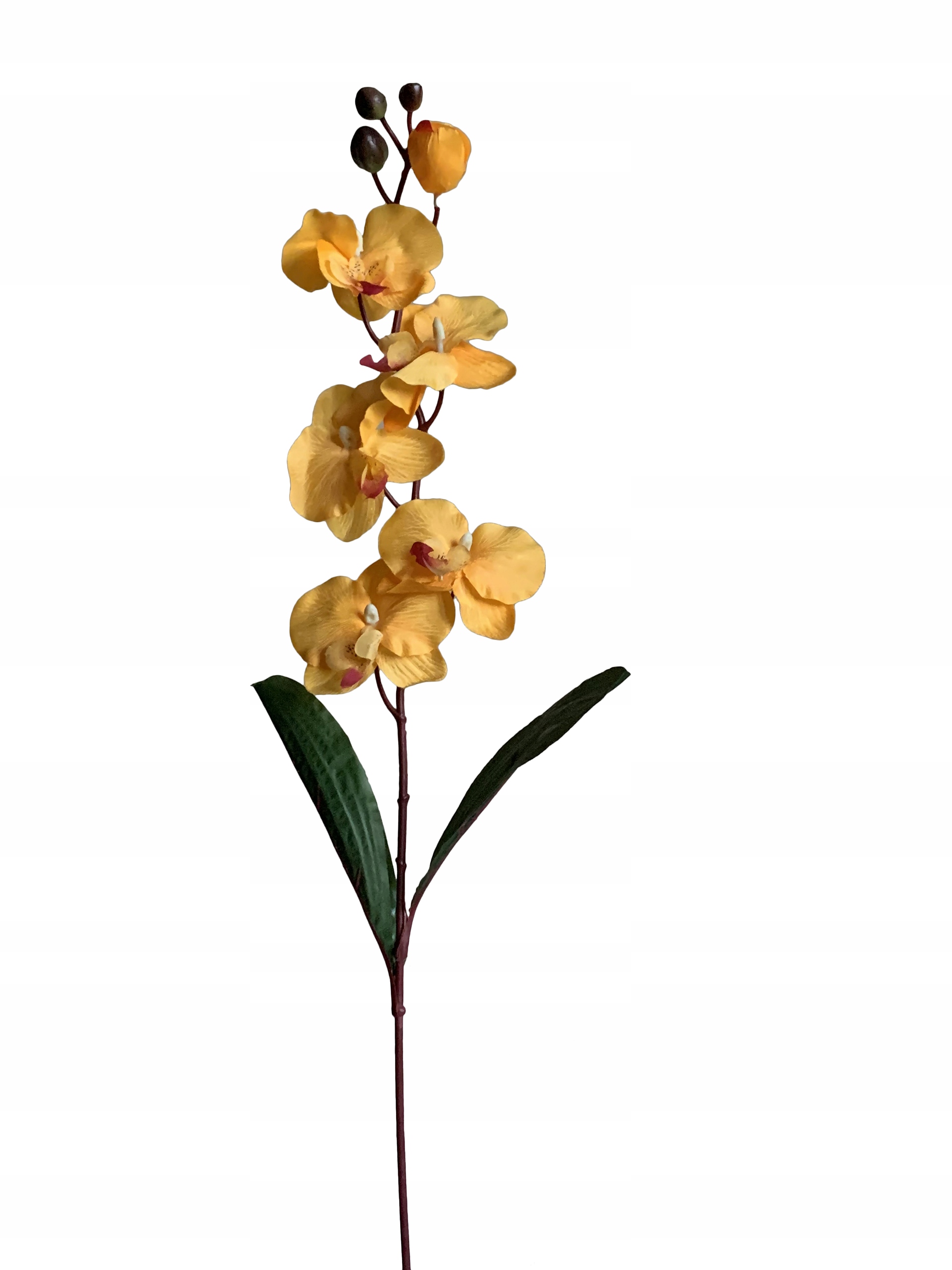 

Storczyk Orchidea Gałązka Kwiaty Sztuczne
