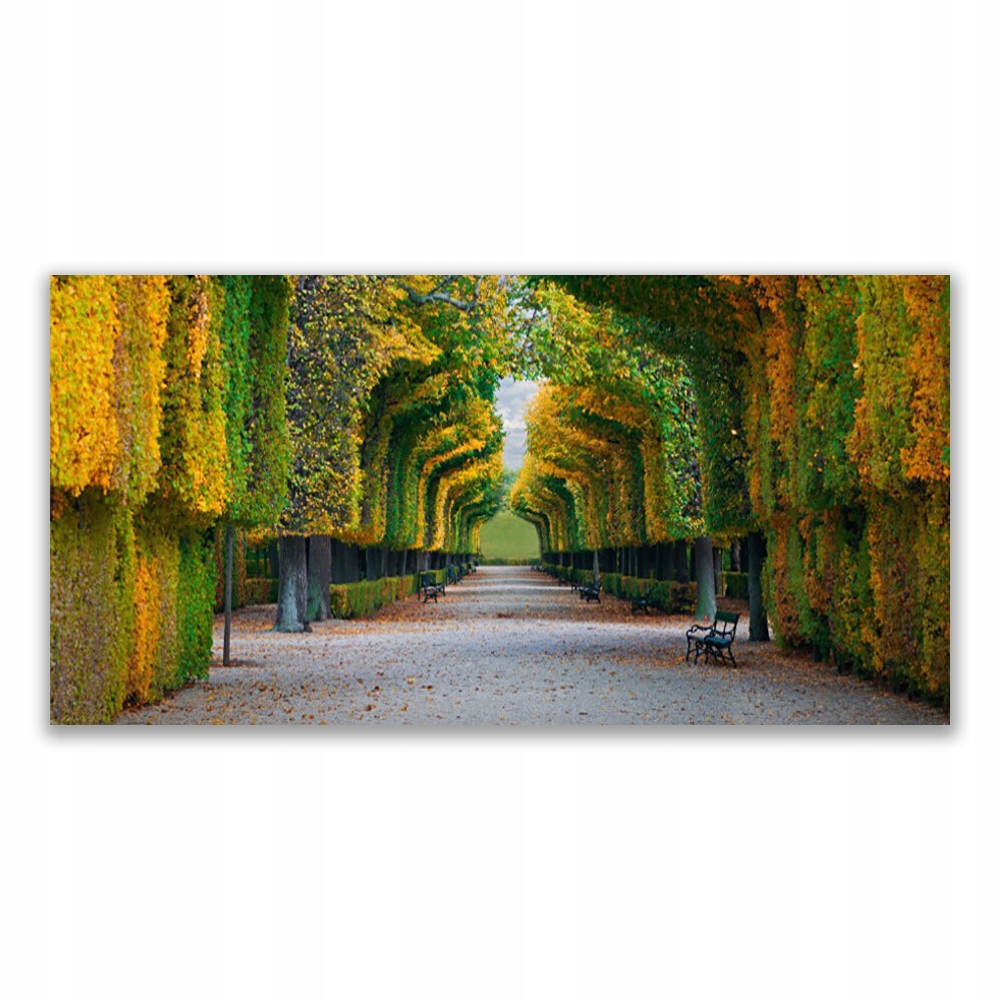 

Fotoobraz ścienny 140x70 Park Jesień Ogród Natura