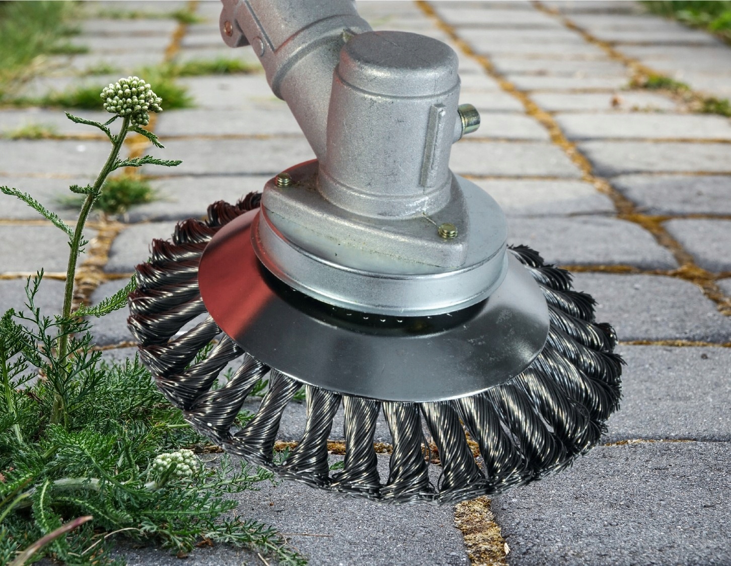 DRUCIAK TARCZA SZCZOTKA DRUCIANA DO KOSY SPALINOWEJ CHWASTY DO KOSTKI BLACK EAN (GTIN) 5907724597692