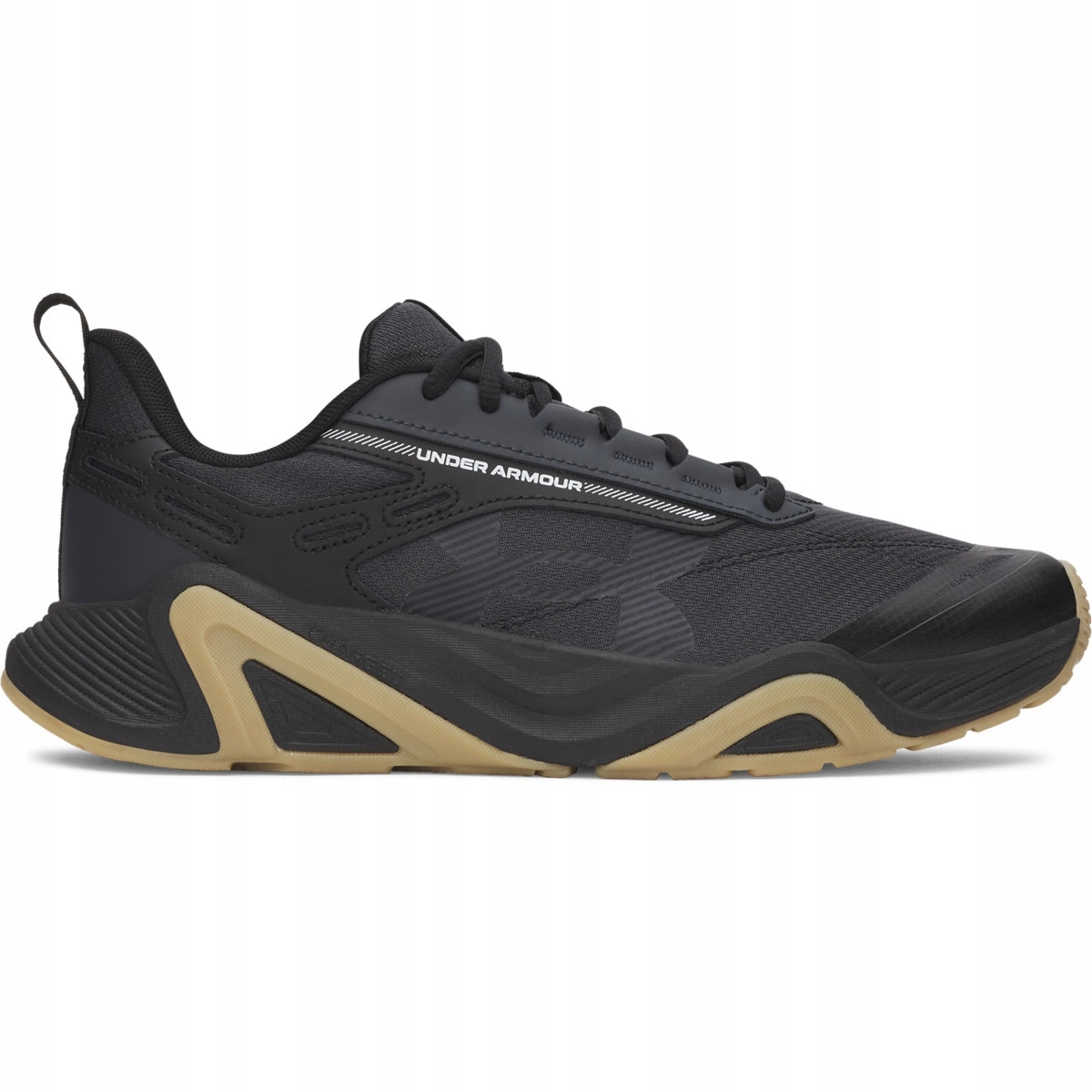 Pánské tréninkové boty Under Armour Charged Commit Tr 5 Černá 45