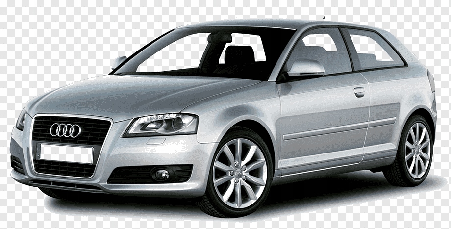ZASLEPKA HAKA AUDI A3 8P 2003- Producent części Inny