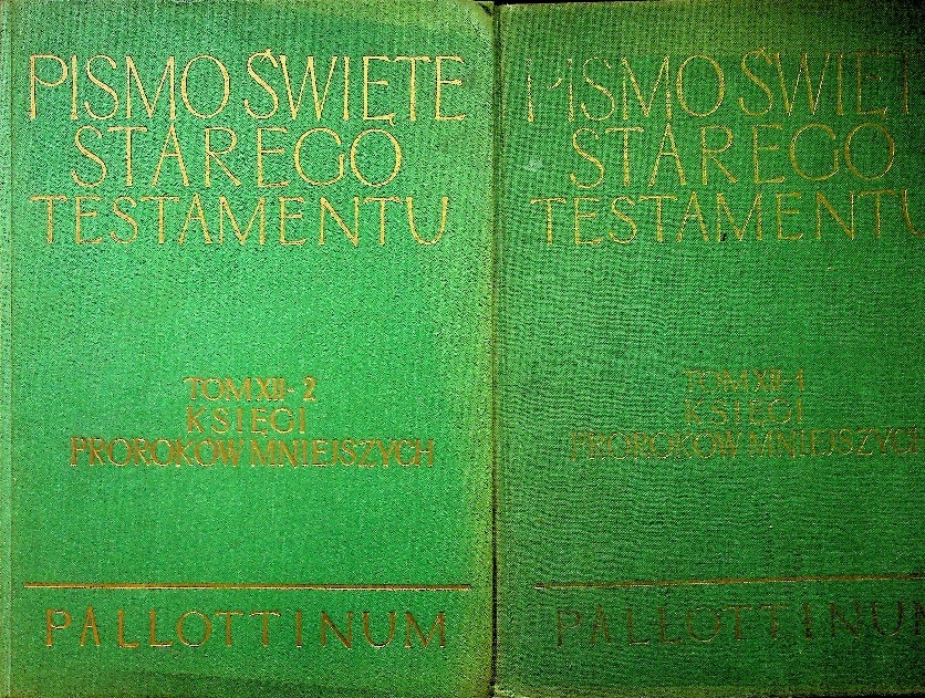 Prorocy Stary Testament Niska cena na Allegro.pl