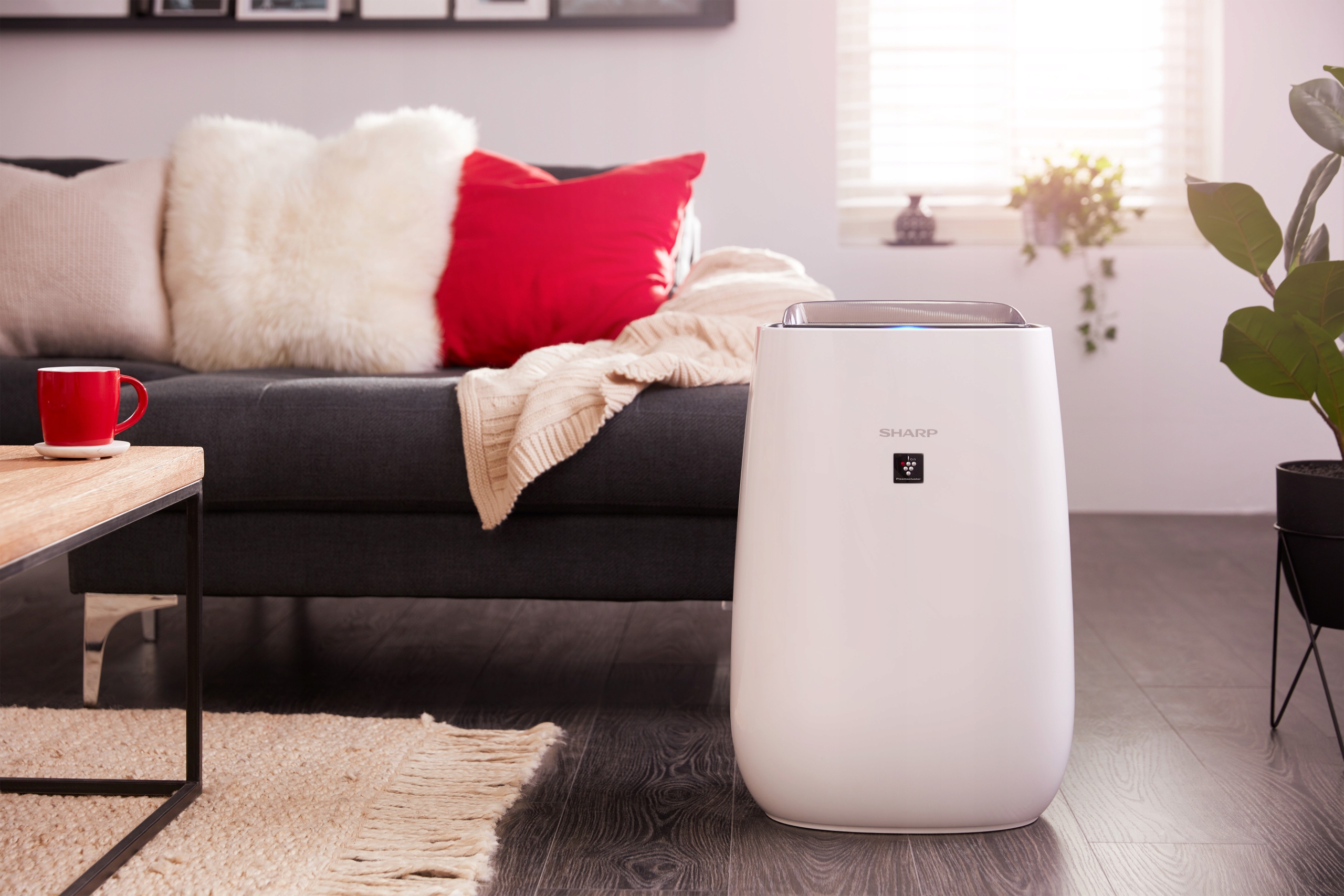 Oczyszczacz powietrza Sharp FP-J40EU-W + jonizator Komunikacja lampka kontrolna sygnał dźwiękowy dotykowy panel sterowania