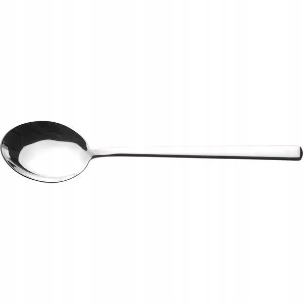 Jídelní lžíce Pintinox Synthesis 21 cm 12 ks