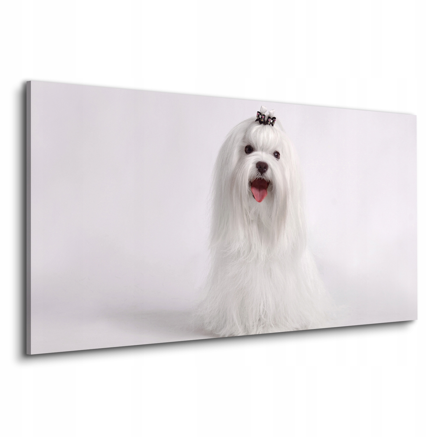 

do salonu Canvas do pokoju piesek kokardka 120x60