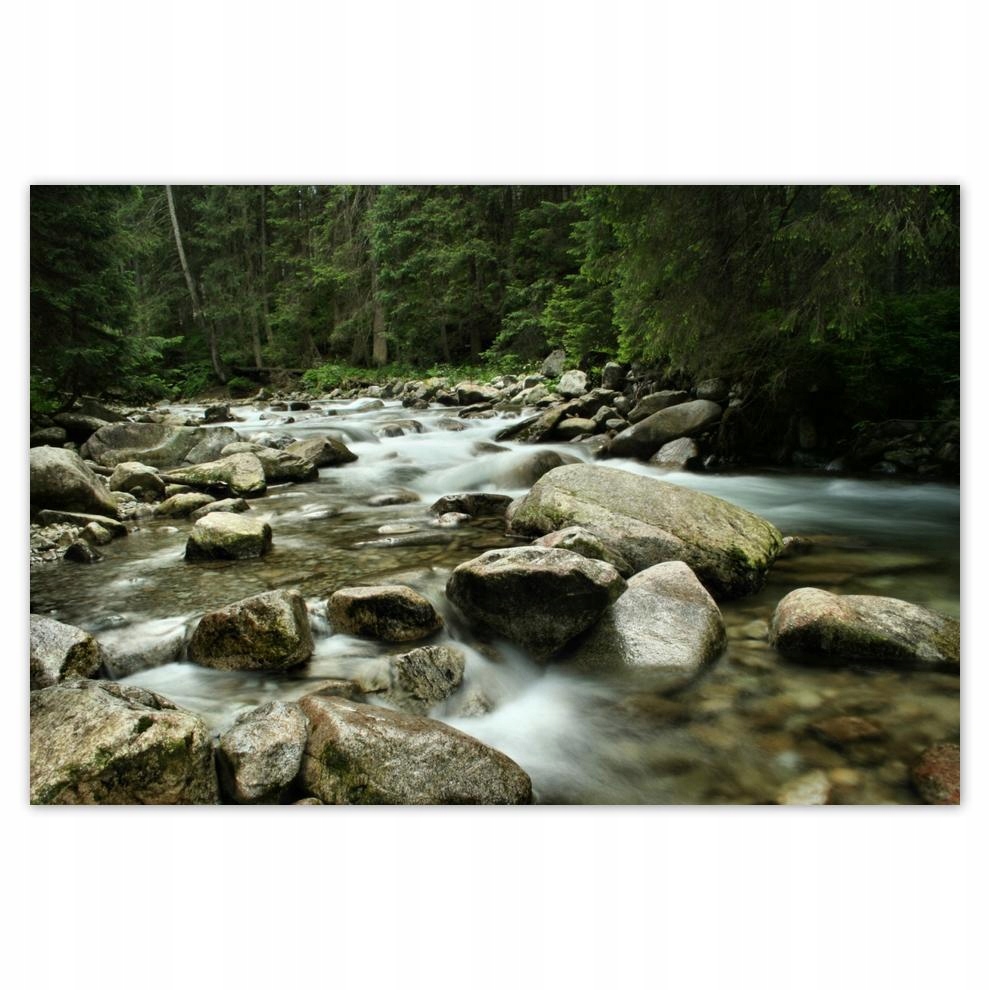 

Plakat 93x62 Tatry Polskie góry Widok