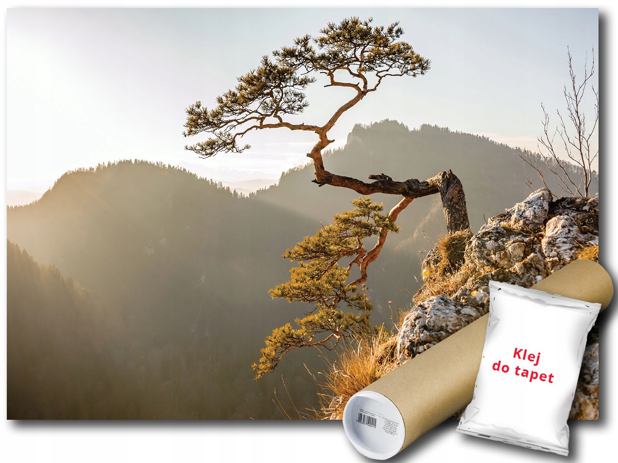 Fototapeta Flizelina Hory Pieniny Borovica 416x290