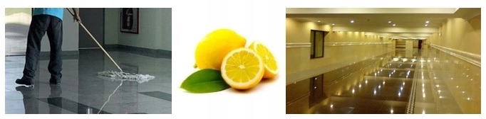 PŁYN DO MYCIA KLATEK I CIĄGÓW KOMUNIKACYJNYCH LAUR KS-5000 5L Kod producenta KS-5000 5L