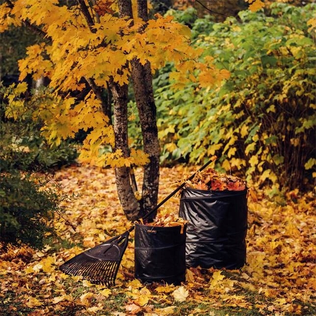 FISKARS KOSZ OGRODOWY SOLID POPUP 56L 1015646 Typ torba na liście