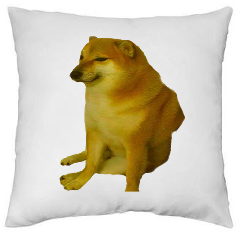 Pies Pieseł Mem Śmieszna Poduszka Prezent + IMIĘ