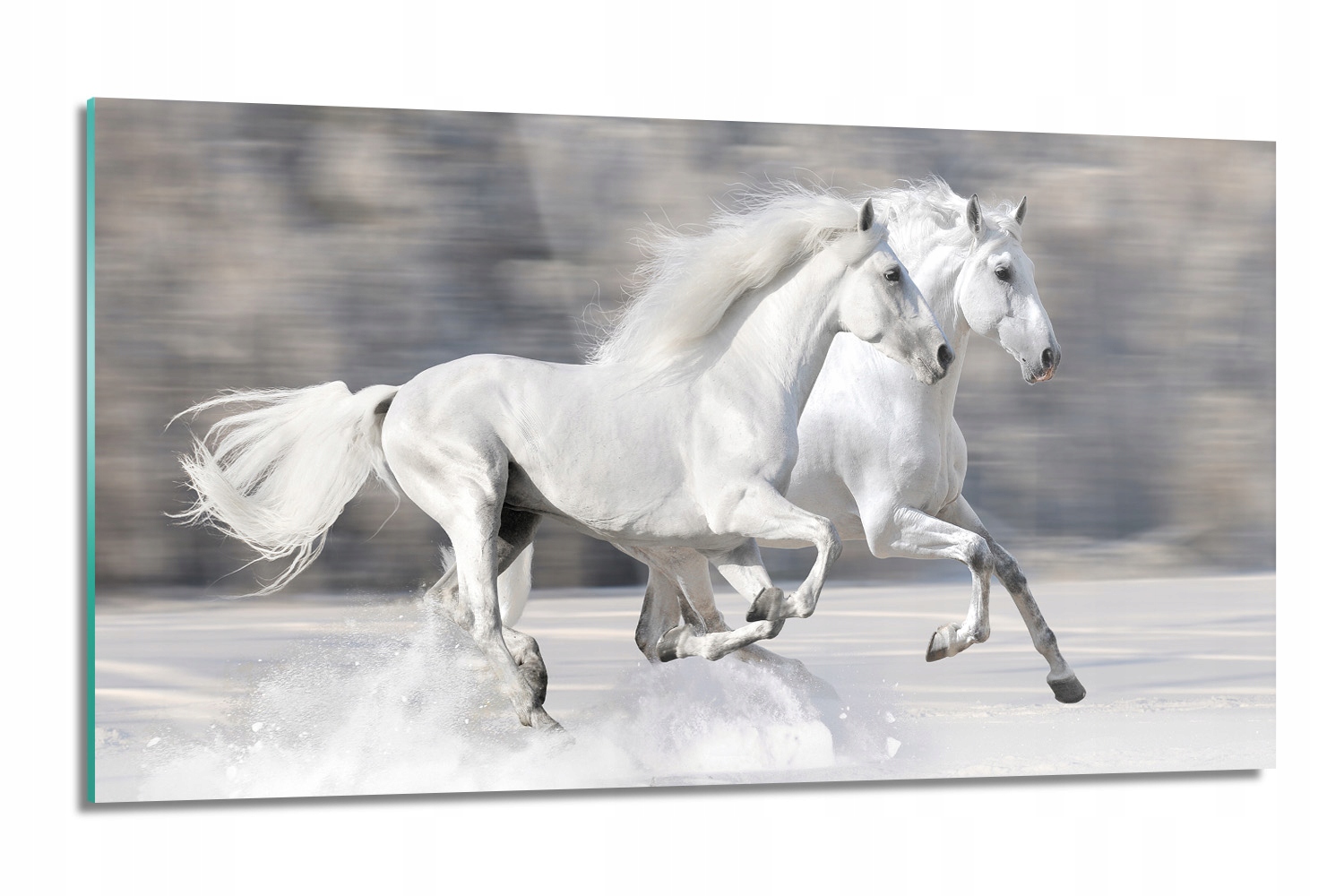 dekor Biele kone cval lacobel 120x60 s fotografiou