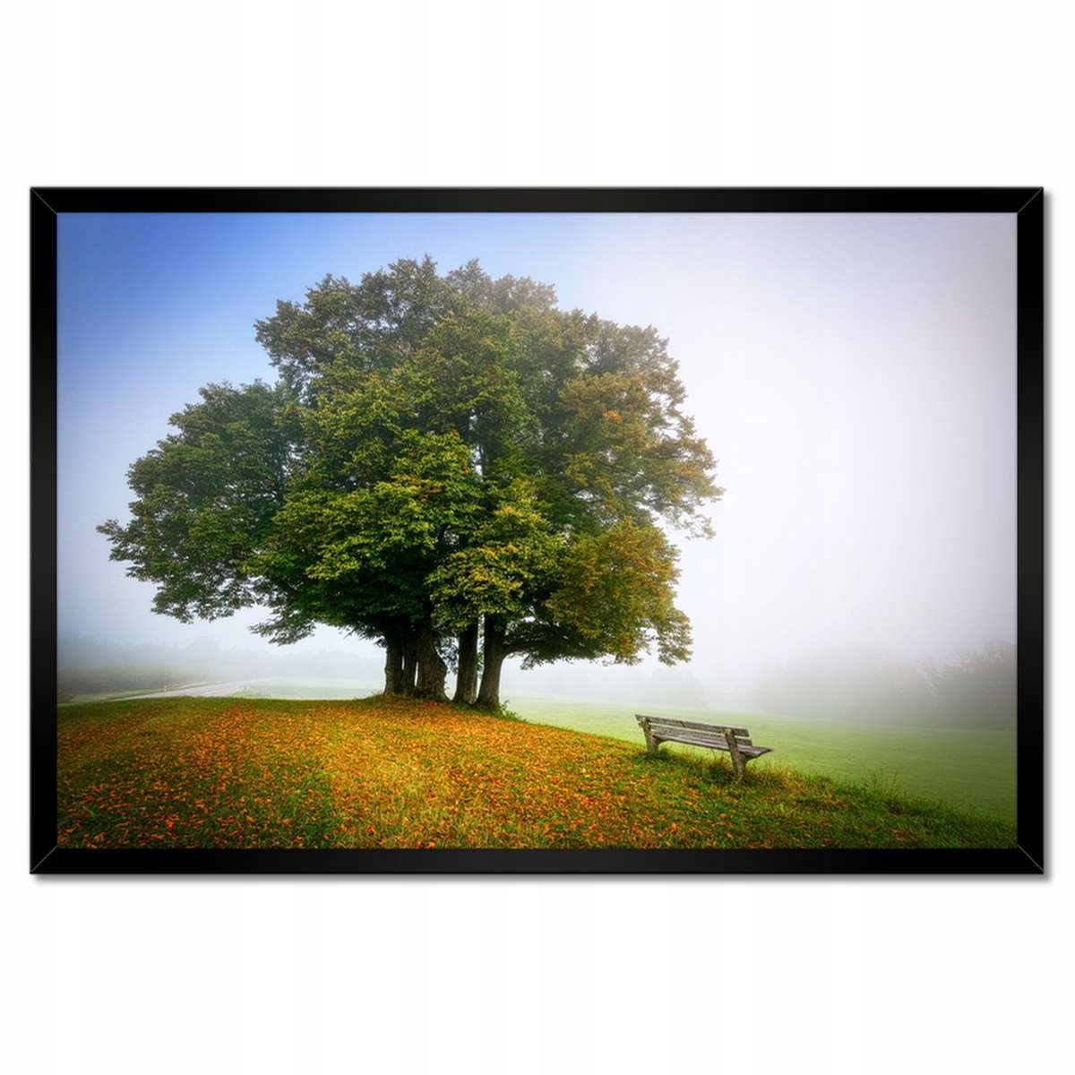 Plakáty v rámu 60x40 Krajina s lavičkou Strom