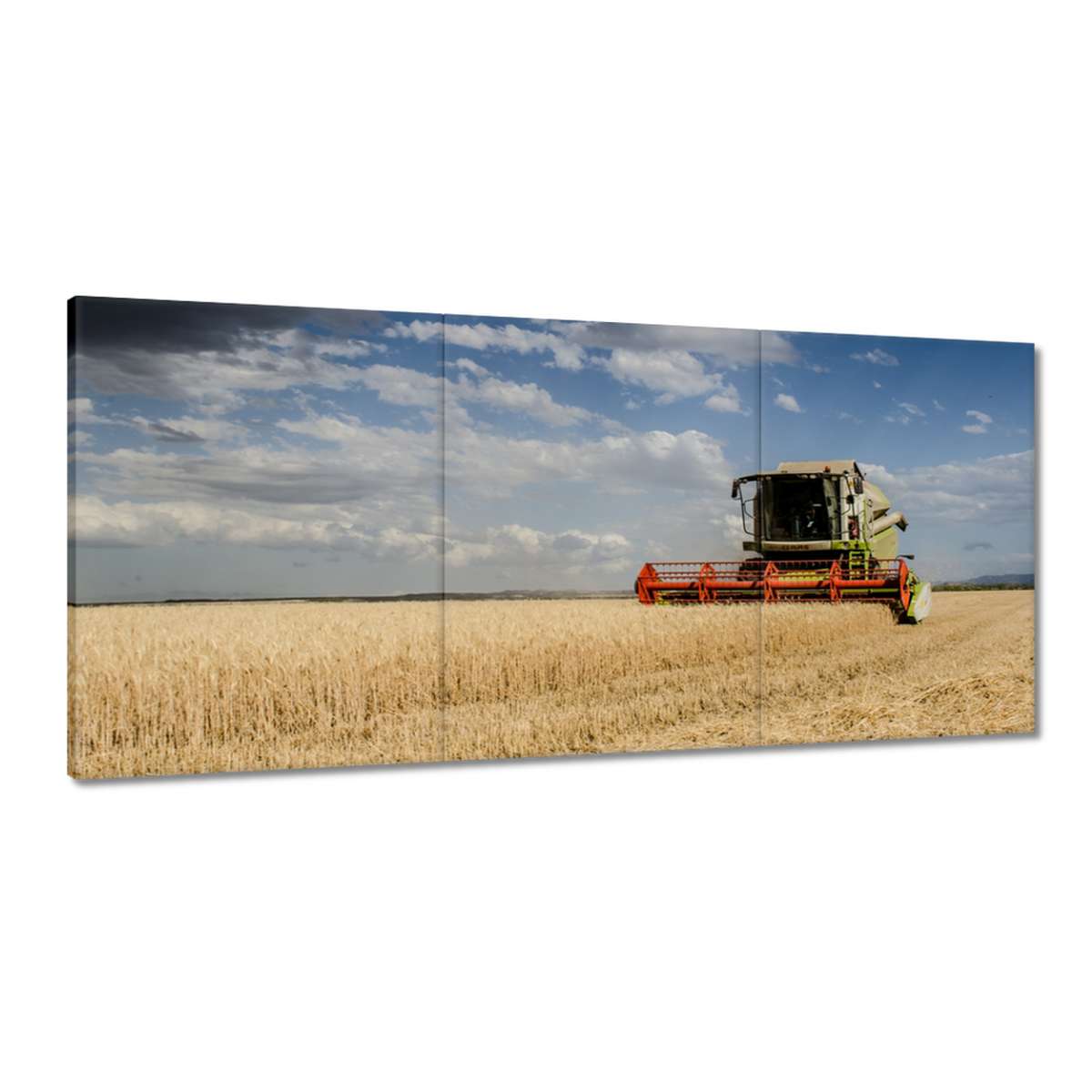 Obrazy 210x100 Kombajn počas žatvy