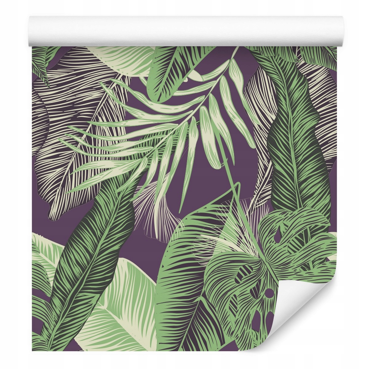 Tapeta do jídelny tropické listy Rostliny příroda