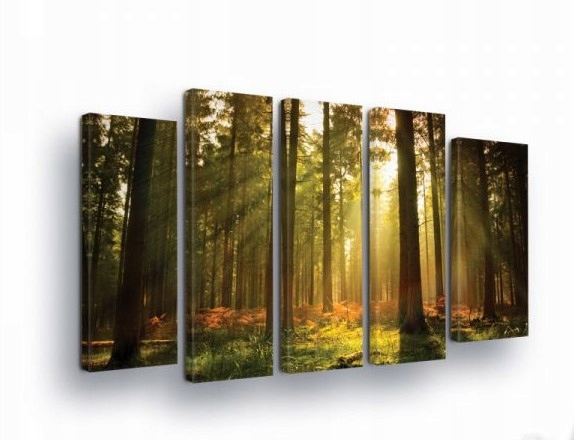 Obraz 150x100 Les slnečné lúče úsvit súmrak príroda krajina stromy