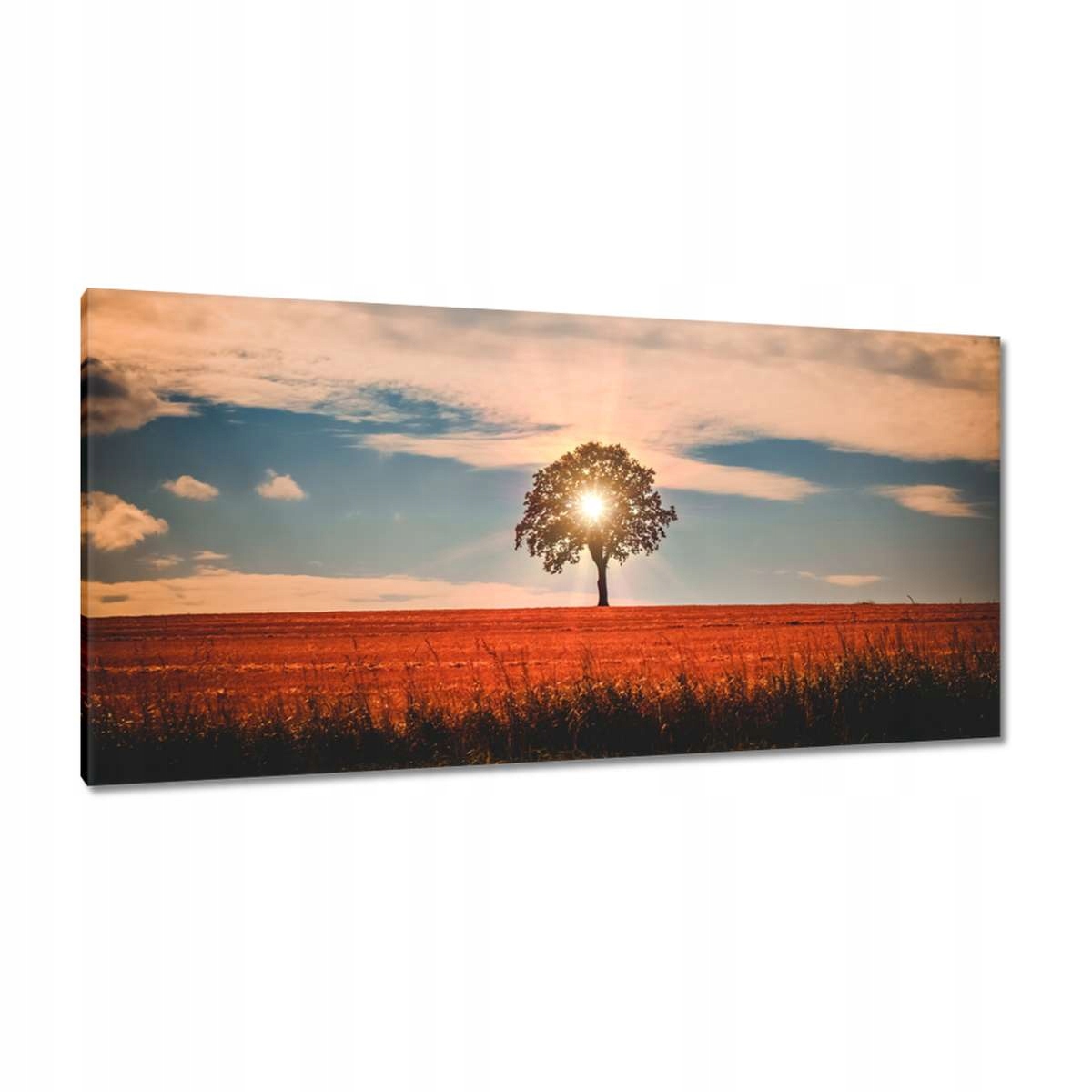 Obrazy 115x55 Pohled Krajina