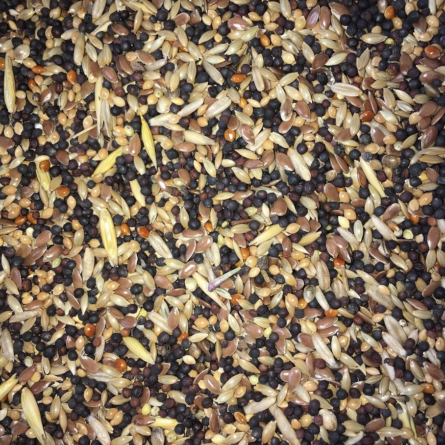 Maciuś karma dla kanarków Dako-Art 5l wiaderko Marka Dako-Art