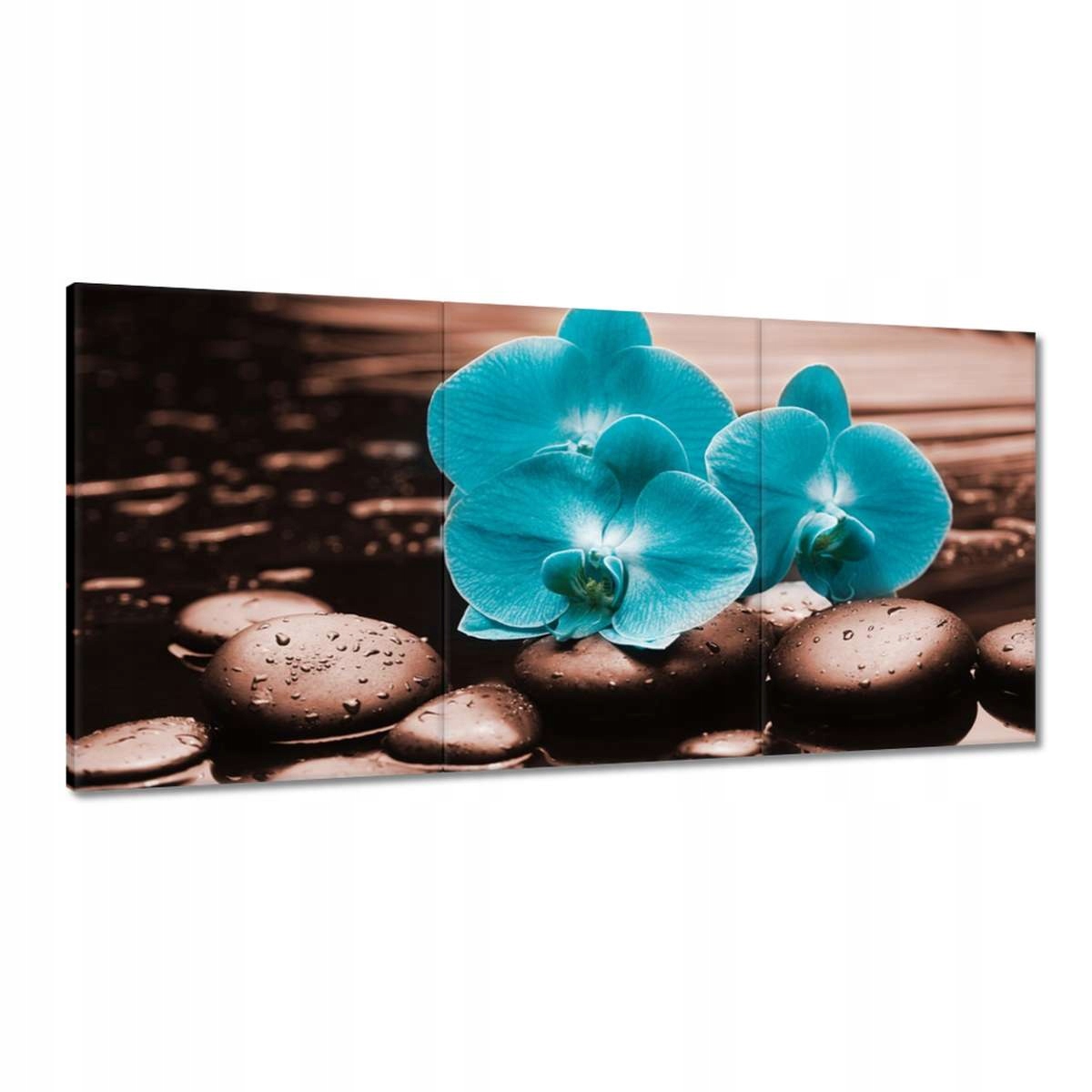 Obrazy 180x90 Tyrkysový orchidea