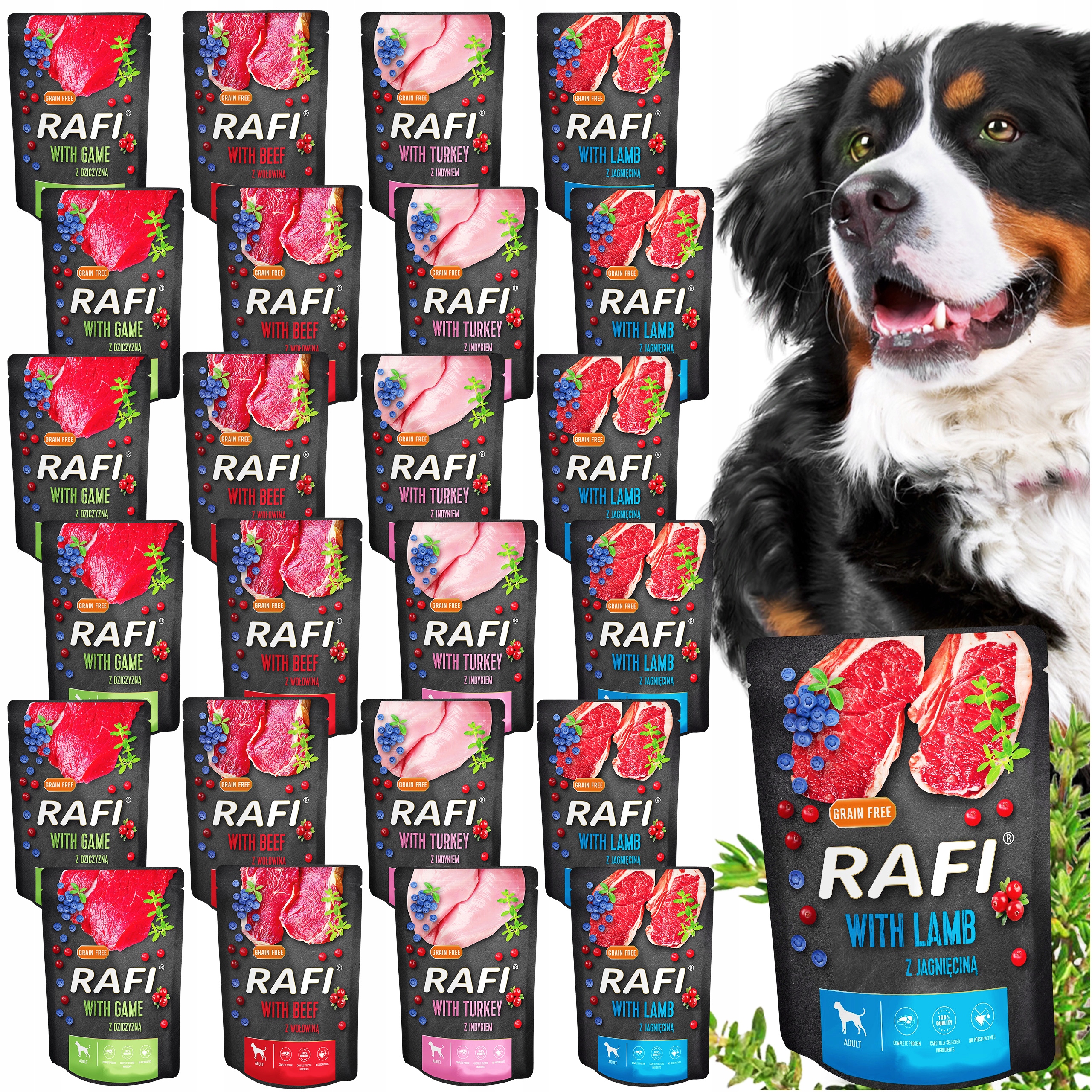 Karma mokra dla psa Rafi Dolina Noteci witaminy saszetki mix 300g 24 sztuki