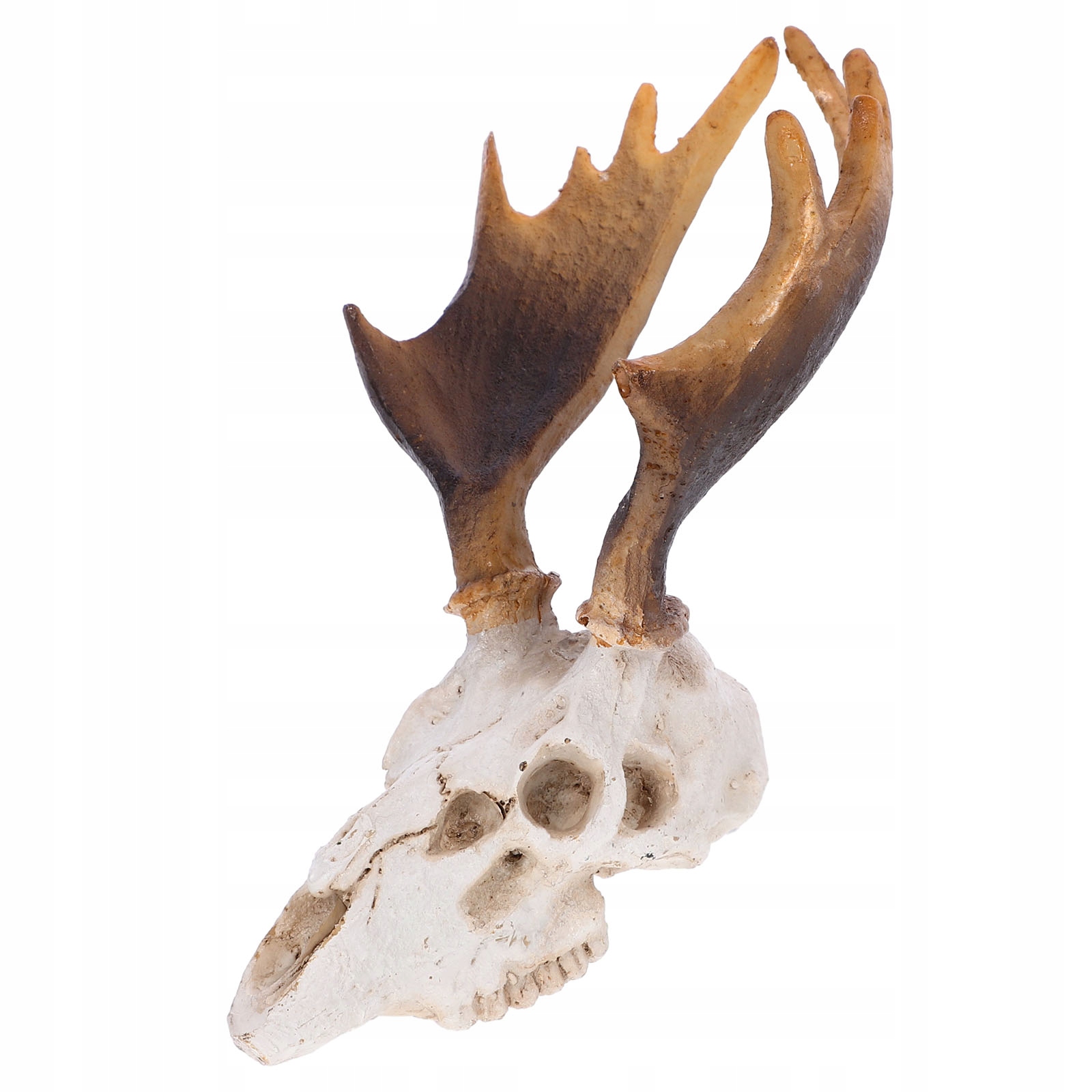 ŻYWICZNA KRYJÓWKA DLA GADA / DEKORACJA - CZASZKA JELENIA