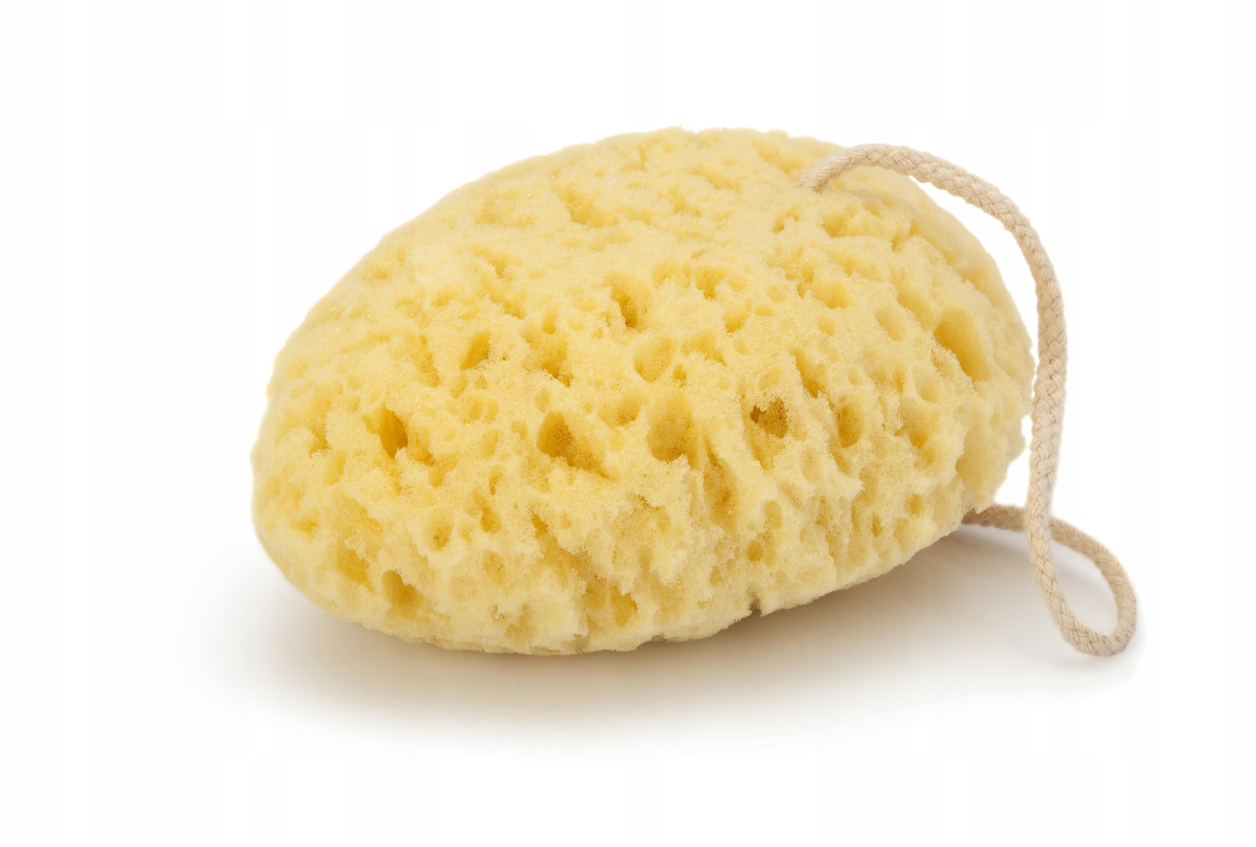 

Donegal Gąbka D/mycia owalna (6009)