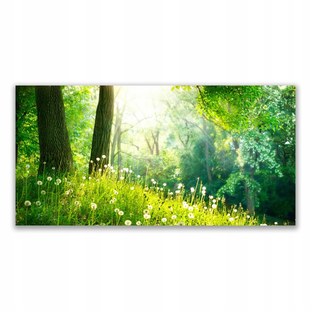 

Fotoobraz akryl ścienny 120x60 Łąka Natura Roślina