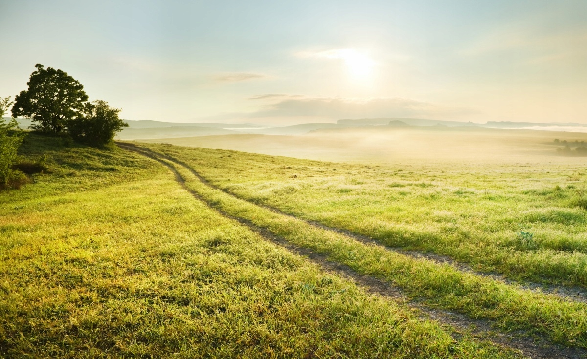 

Tapeta Flizelinowa Łąka i wschód słońca 416x254