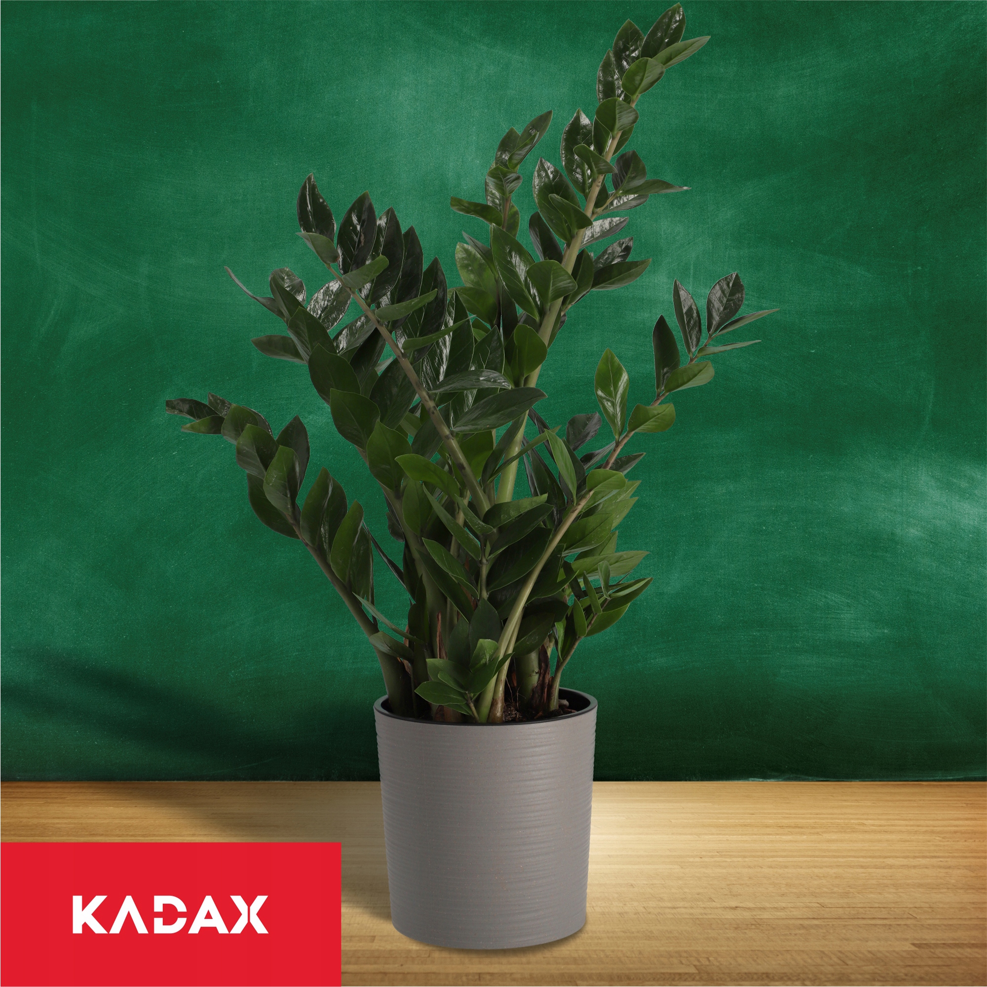 DONICZKA OSŁONKA NA KWIATY EKOLOGICZNA SZARA 30cm Rodzaj doniczka