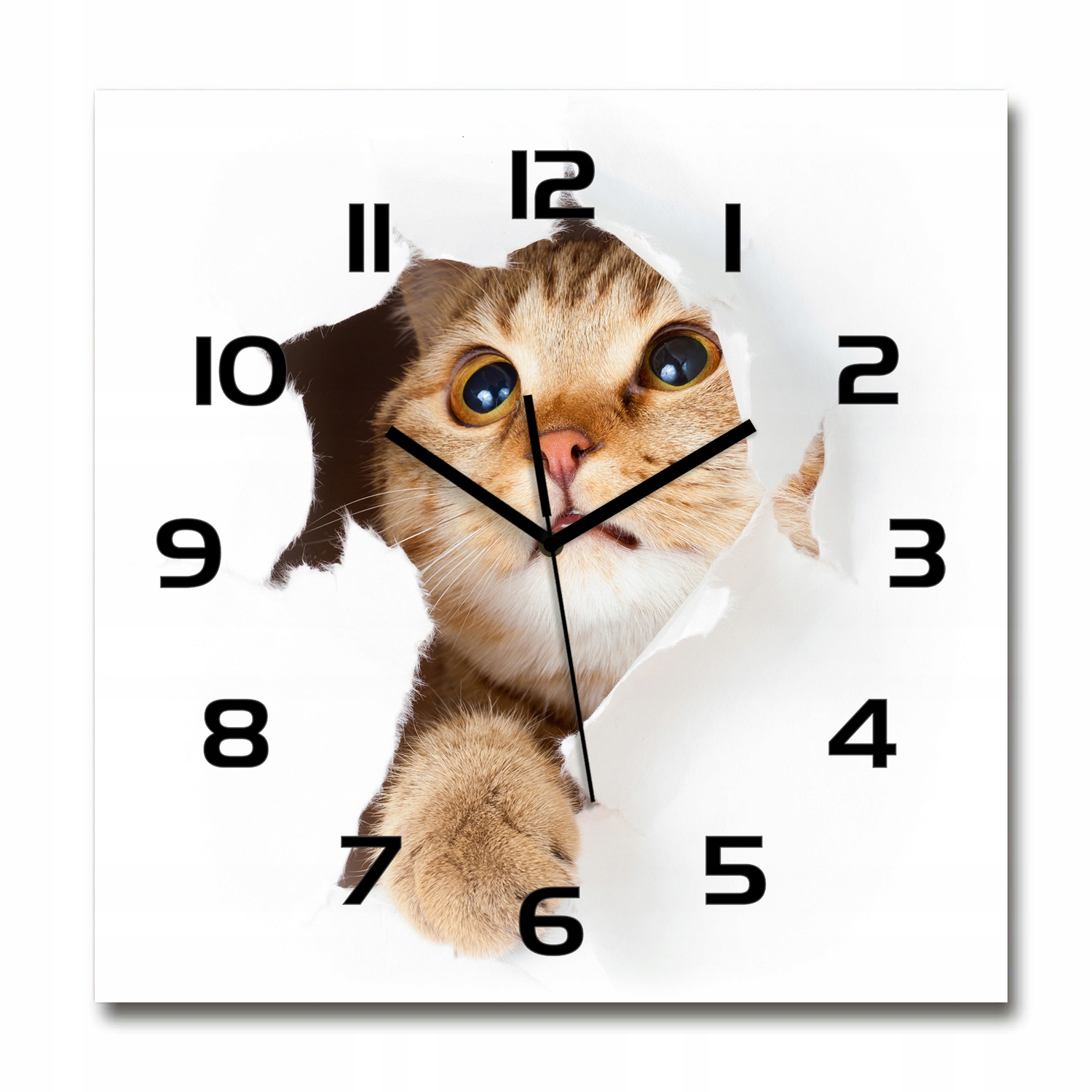 

Duży zegar szklany do salonu Kot w dziurze 60x60cm