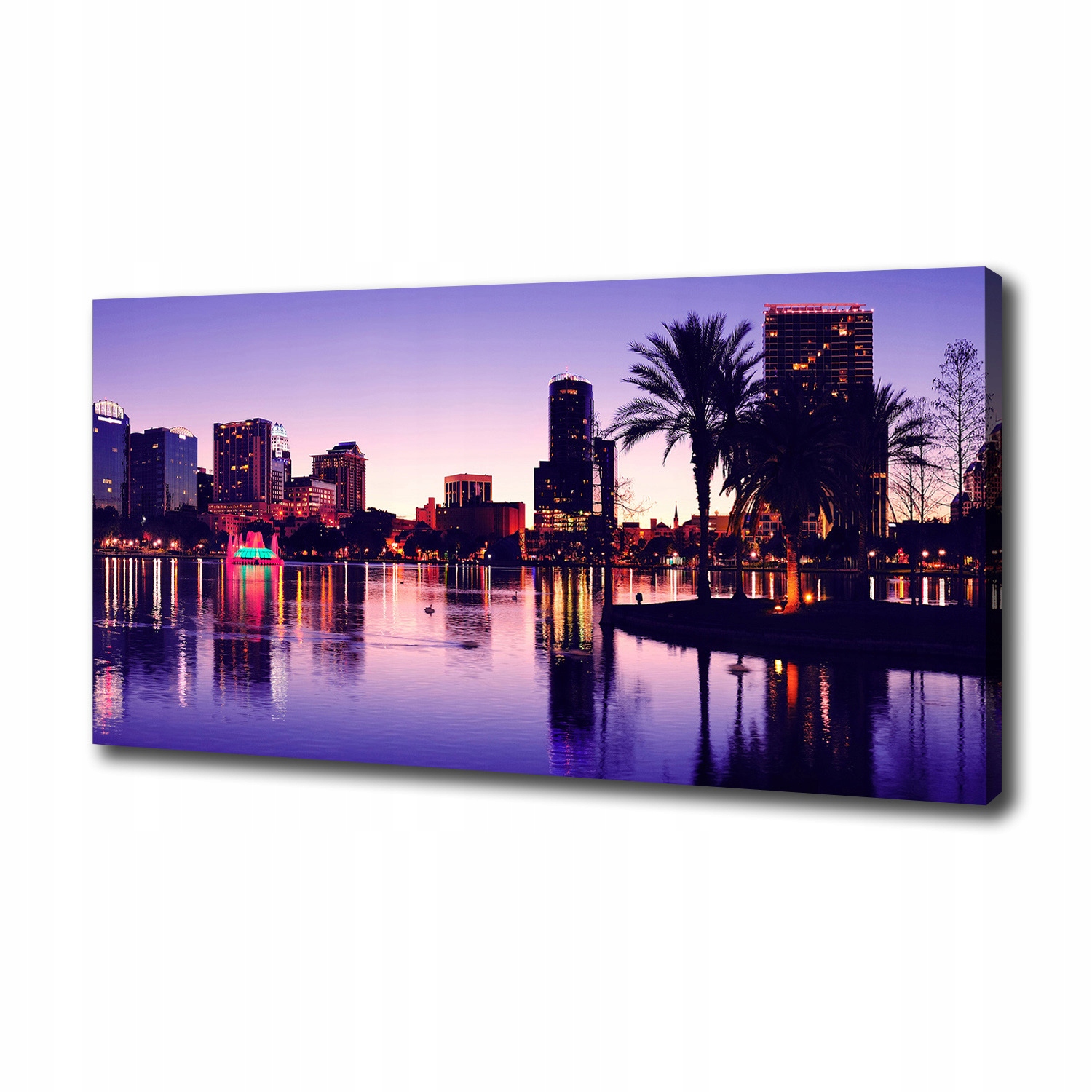 

Foto obraz canvas na ścianę Orlando Usa 100x50 cm