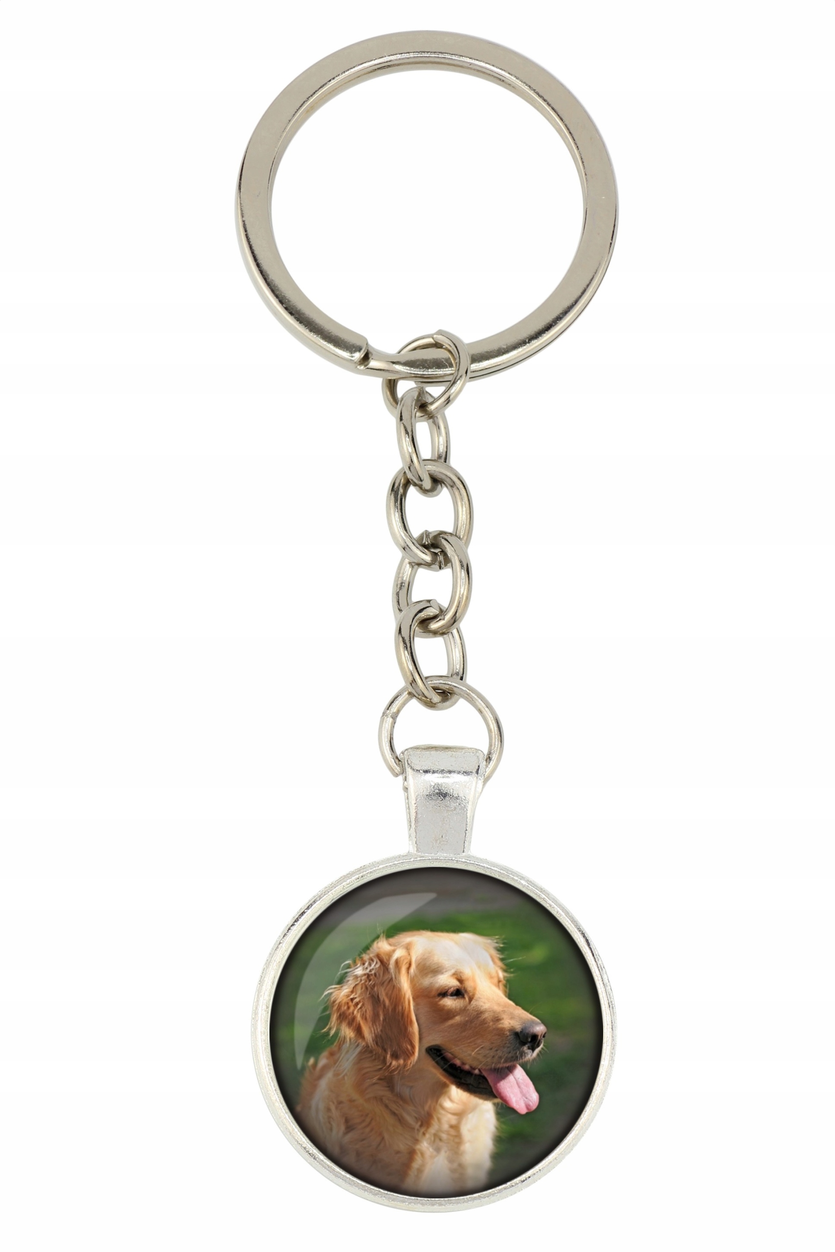 

Golden Retriever Brelok Twoje zdjęcie foto