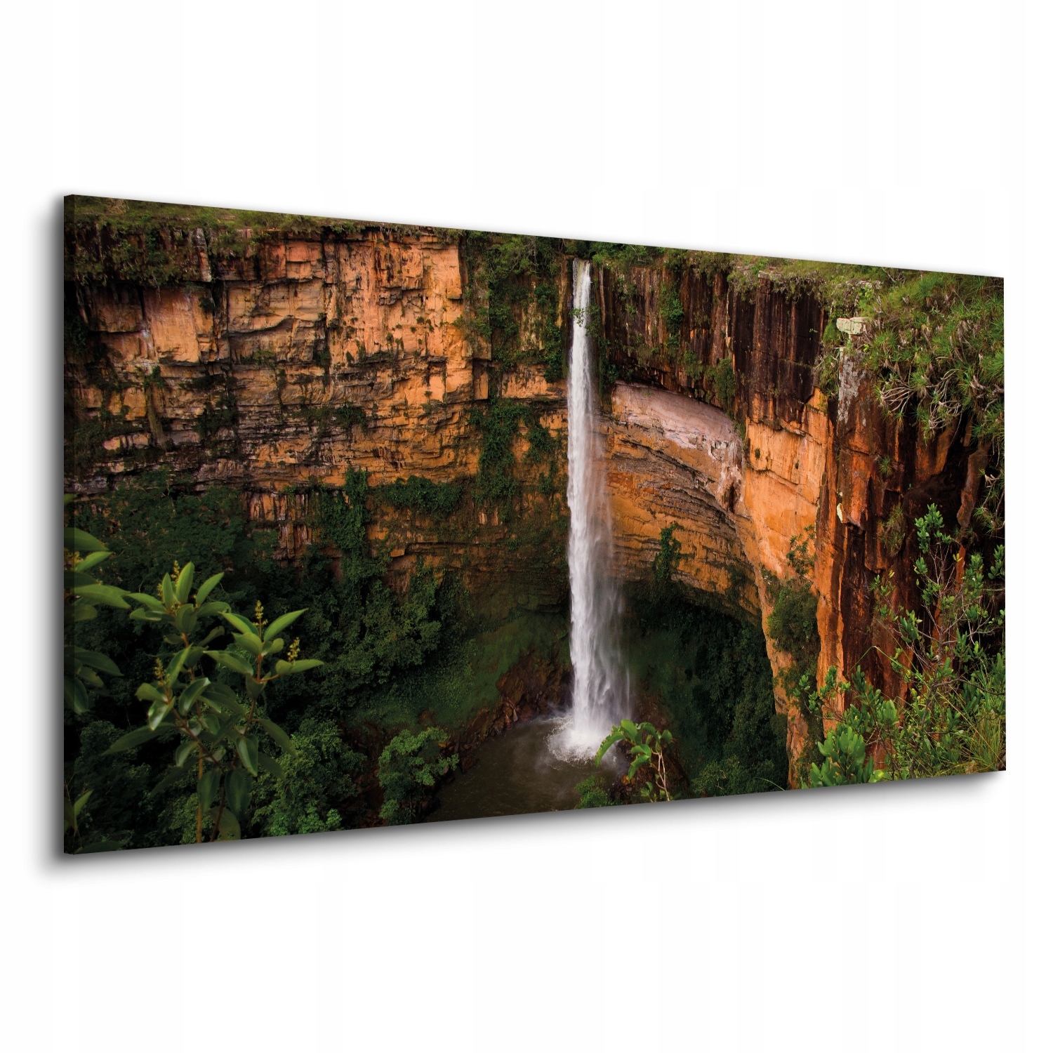 Tisk na plátno jako dárek 120x60 Stromy vodopád