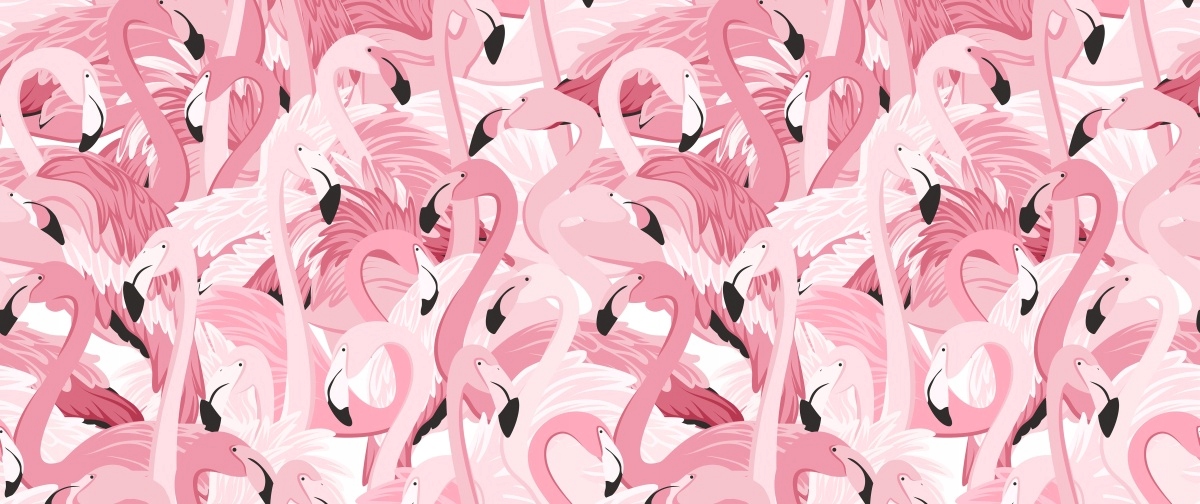 

Fototapeta Flizelinowa Różowe flamingi 250x104