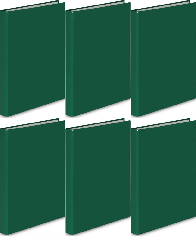 SEGREGATOR WĄSKI A4 25mm 2 RINGI VauPe ZIELONY x6