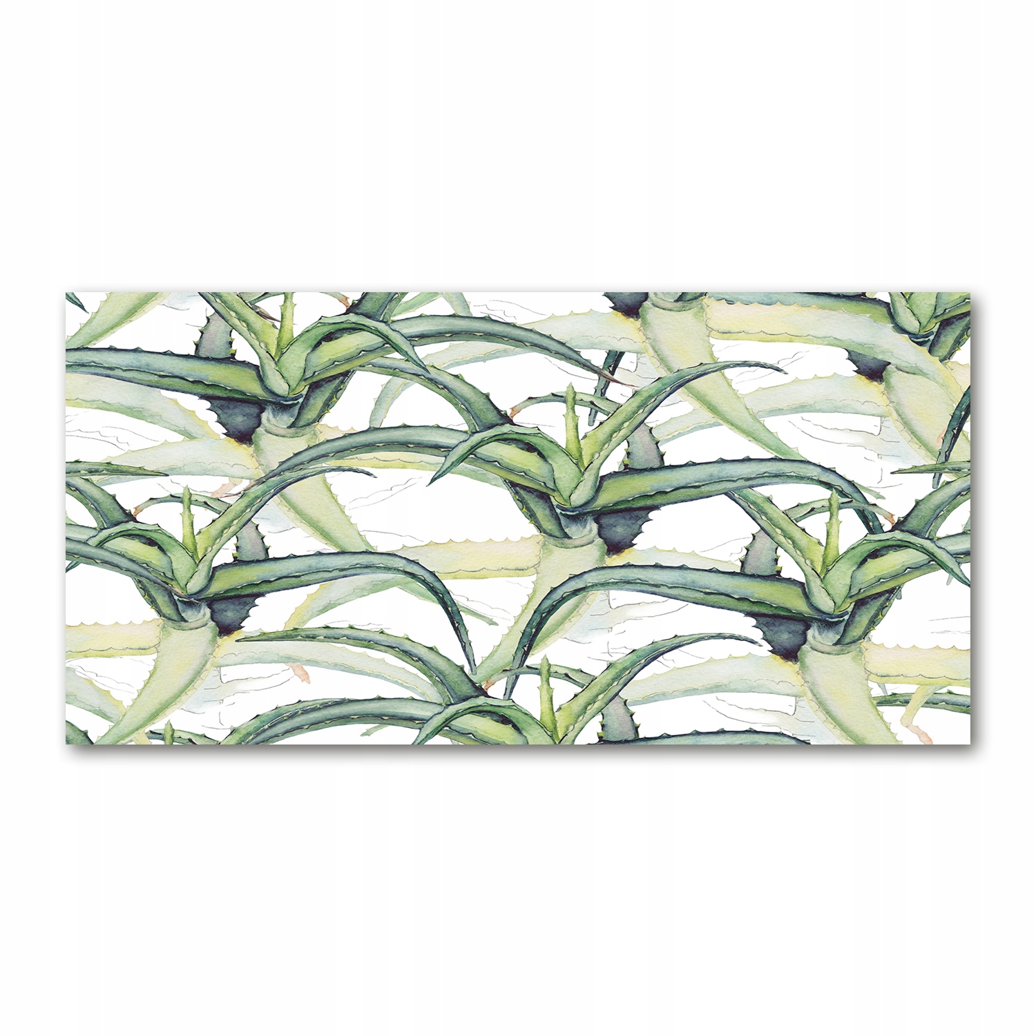 

Foto obraz na ścianę akryl Aloes zdjęcie 140x70 cm