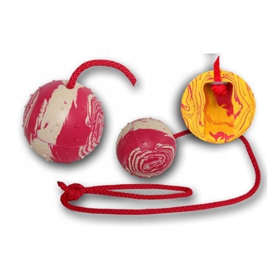 Levně Míček pro psy Fixi