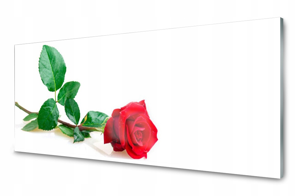 

Panel szklany do kuchni Róża Kwiat Roślina 125x50