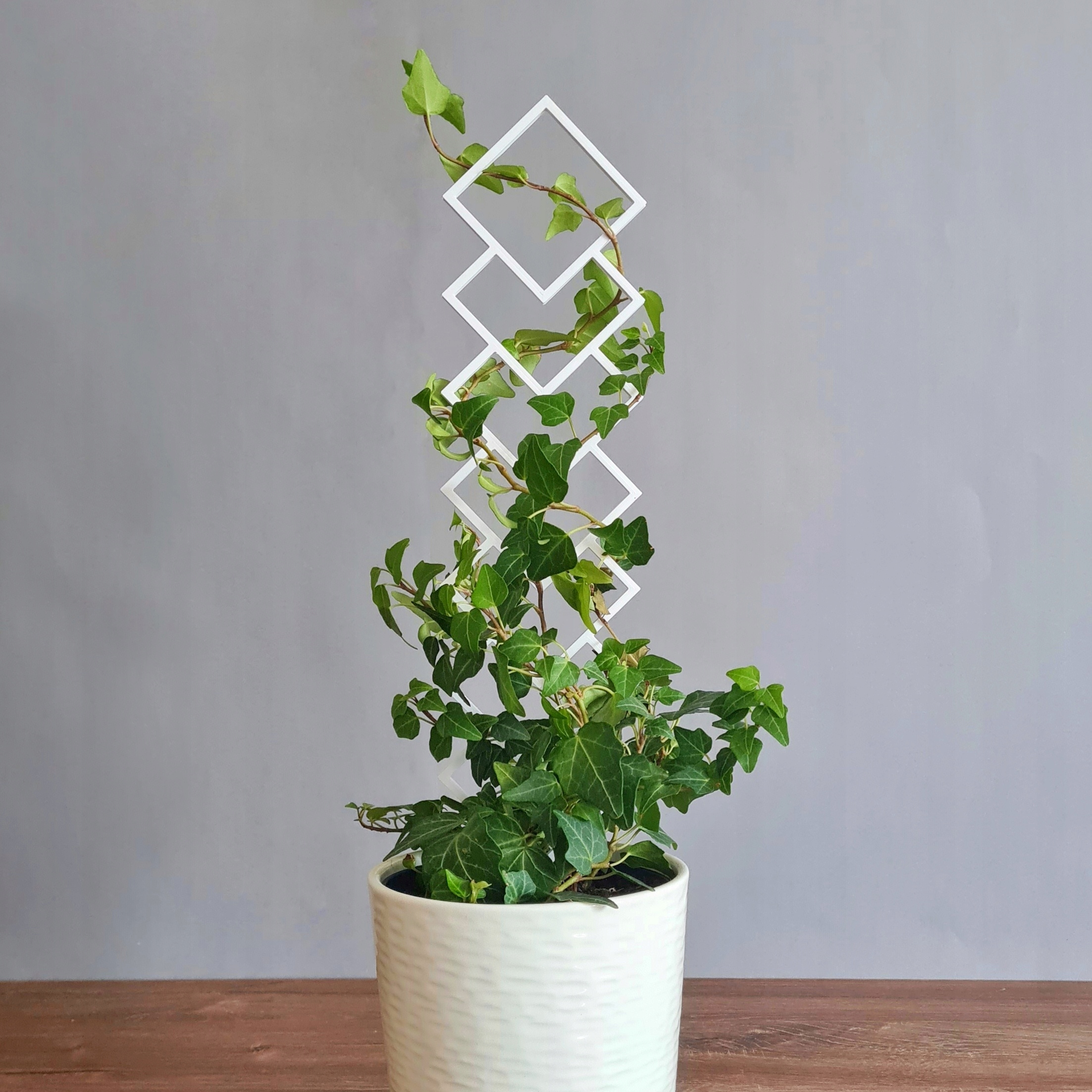 PODPÓRKA DO KWIATÓW DRABINKA PERGOLA BIAŁA 38 cm Marka BB3Design